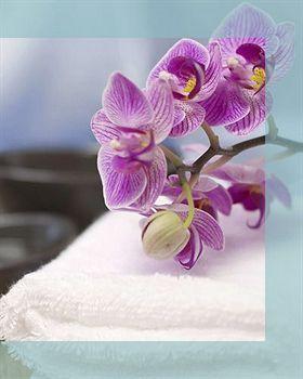 酒店 Arte & Mare Elia Luxury And Elia (Mykonos)